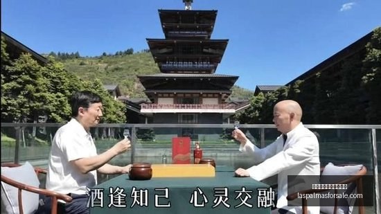对决解析,山猫对阵狂,全面精彩对,皇冠体育,皇冠体育评价,用户反馈